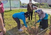 Peringati Hari Lingkungan Hidup Sedunia, DLHK Kendari Tanam Ratusan Pohon Peringati Hari Lingkungan Hidup Sedunia, DLHK Kendari Tanam Ratusan Pohon