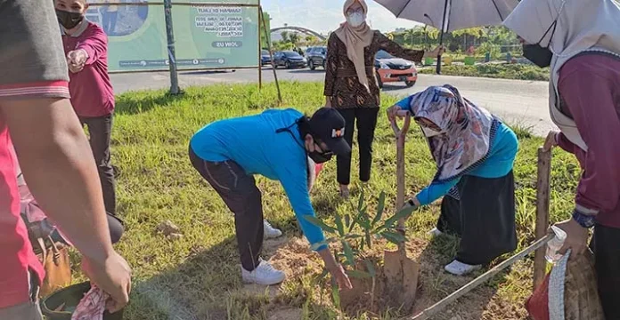 Peringati Hari Lingkungan Hidup Sedunia, DLHK Kendari Tanam Ratusan Pohon