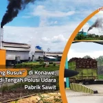 “Kampung Busuk” di Konawe, Warganya Hidup di Tengah Polusi Udara Pabrik Sawit (Bagian-2) “Kampung Busuk” di Konawe, Warganya Hidup di Tengah Polusi Udara Pabrik Sawit (Bagian-2)