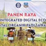 Teknologi Digital Eco Farming Tingkatkan Produksi Beras Organik di Koltim Teknologi Digital Eco Farming Tingkatkan Produksi Beras Organik di Koltim