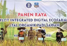 Teknologi Digital Eco Farming Tingkatkan Produksi Beras Organik di Koltim Teknologi Digital Eco Farming Tingkatkan Produksi Beras Organik di Koltim