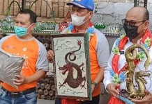 Dukung Kebersihan Kota, Pelni Hadirkan Rumah Kelola Sampah di Baubau Dukung Kebersihan Kota, Pelni Hadirkan Rumah Kelola Sampah di Baubau