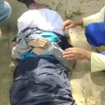 Berita Klarifikasi: Satu Pengendara Motor Tewas di Tempat Usai Tabrakan dengan Mobil Pikap Satu Siswi SMP Tewas di Tempat Usai Tabrakan dengan Mobil Pikap