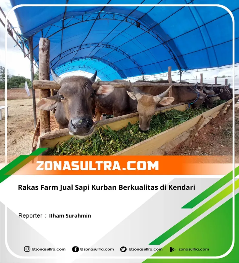 214253134_350059886495812_4267097975340257306_n