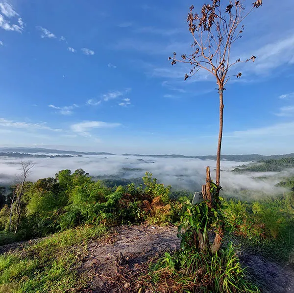 Menikmati Keindahan Pagi Hari Bukit Osu Mohai Wolasi
