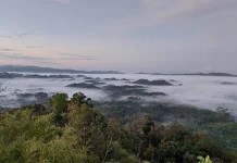 Menikmati Keindahan Pagi Hari Bukit Osu Mohai Wolasi Menikmati Keindahan Pagi Hari Bukit Osu Mohai Wolasi