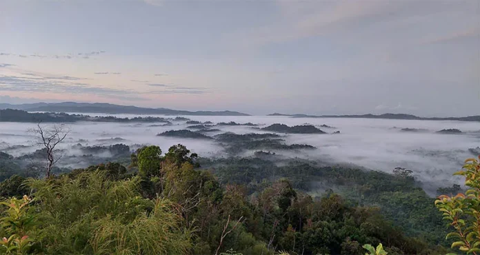 Menikmati Keindahan Pagi Hari Bukit Osu Mohai Wolasi