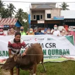 ANTAM UBPN Konut Salurkan 11 Ekor Sapi Qurban ANTAM UBPN Konut Salurkan 11 Ekor Sapi Qurban