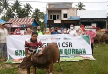 ANTAM UBPN Konut Salurkan 11 Ekor Sapi Qurban ANTAM UBPN Konut Salurkan 11 Ekor Sapi Qurban