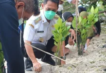 Hari Mangrove Sedunia, BTNW Bersama Bupati Wakatobi Tanam 2.021 Bibit Mangrove Hari Mangrove Sedunia, BTNW Bersama Bupati Wakatobi Tanam 2.021 Bibit Mangrove
