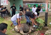 Gerindra Sultra dan ASR Bagi-bagi 150 Paket Daging Kurban di Bombana Gerindra Sultra dan ASR Bagi-bagi 150 Paket Daging Kurban di Bombana
