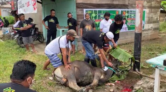 Gerindra Sultra dan ASR Bagi-bagi 150 Paket Daging Kurban di Bombana