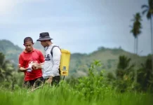 BRI Salurkan KUR ke 3 Juta Pelaku UMKM dalam Waktu 6 Bulan BRI Salurkan KUR Pertanian ke 3 Juta Pelaku UMKM dalam Waktu 6 Bulan