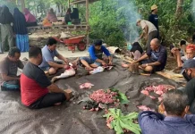 LDII Kurban 47 Ekor Sapi dan 13 Ekor Kambing di Wakatobi LDII Kurban 47 Ekor Sapi dan 13 Ekor Kambing di Wakatobi