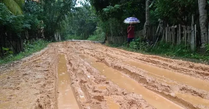 Warga Tanjung Tiram Konsel Keluhkan Jalan Rusak