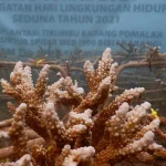 ANTAM Gelar Bakti Sosial Bertajuk Restorasi Ekosistem Laut di Kolaka dan Konut ANTAM Gelar Bakti Sosial Bertajuk Restorasi Ekosistem Laut di Kolaka dan Konut