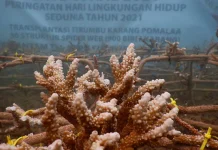 ANTAM Gelar Bakti Sosial Bertajuk Restorasi Ekosistem Laut di Kolaka dan Konut ANTAM Gelar Bakti Sosial Bertajuk Restorasi Ekosistem Laut di Kolaka dan Konut