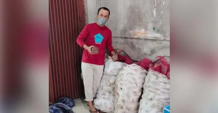 Harga Ubi Jalar Meroket, Pengusahan Gorengan di Kolut Menjerit