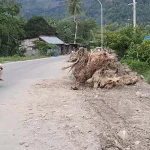 Beri Kenyamanan Pejalan Kaki, Pemda Benahi 12 Titik Trotoar di Lasusua Beri Kenyamanan Pejalan Kaki, Pemda Benahi 12 Titik Trotoar di Lasusua