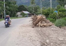 Beri Kenyamanan Pejalan Kaki, Pemda Benahi 12 Titik Trotoar di Lasusua Beri Kenyamanan Pejalan Kaki, Pemda Benahi 12 Titik Trotoar di Lasusua