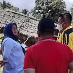 Diterjang Angin Puting Beliung, Belasan Rumah di Koltim Rusak Parah Lahan Gambut di Koltim Terbakar, Diduga Pembukaan Lahan