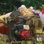 Meski Pandemi, Kredit Pertanian BRI Tembus Rp117,54 Triliun Meski Pandemi, Kredit Pertanian BRI Tembus Rp117,54 Triliun