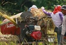 Meski Pandemi, Kredit Pertanian BRI Tembus Rp117,54 Triliun Meski Pandemi, Kredit Pertanian BRI Tembus Rp117,54 Triliun