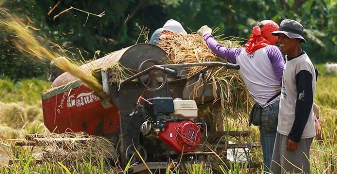 Meski Pandemi, Kredit Pertanian BRI Tembus Rp117,54 Triliun