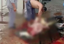 TKA Cina di Konawe yang Menguliti Buaya Terancam 5 Tahun Penjara TKA Cina di Konawe yang Menguliti Buaya Terancam 5 Tahun Penjara