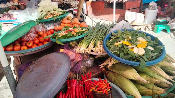 Harga Ikan dan Sayuran di Kendari Melonjak Naik