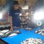 Harga Ikan dan Sayuran di Kendari Melonjak Naik Harga Ikan dan Sayuran di Kendari Melonjak Naik