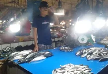 Harga Ikan dan Sayuran di Kendari Melonjak Naik Harga Ikan dan Sayuran di Kendari Melonjak Naik