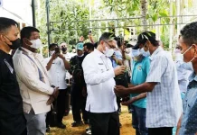 Wali Kota Kendari Serahkan 2.857 Bibit Cengkeh ke Kelompok Tani di Puuwatu Wali Kota Kendari Serahkan 2.857 Bibit Cengkeh ke Kelompok Tani di Puuwatu