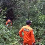 Nenek di Konawe yang Hilang di Hutan Belum Ditemukan