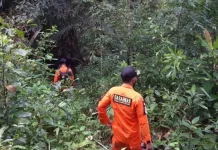 Nenek di Konawe yang Hilang di Hutan Belum Ditemukan