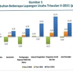 Ekonomi Sultra Triwulan II 2021 Tumbuh 4,21 Persen Ekonomi Sultra Triwulan II 2021 Tumbuh 4,21 Persen