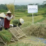 BRI Salurkan Rp161 Triliun Kredit Mikro ke Sektor Pertanian BRI Salurkan Rp161 Triliun Kredit Mikro ke Sektor Pertanian
