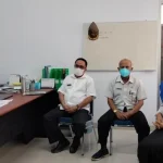 Komoditas Ekspor, Lahan Budi Daya Porang di Sultra Capai 612 Hektare Komoditas Ekspor, Lahan Budi Daya Porang di Sultra Capai 612 Hektare