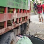 Seorang Karyawan PT VDNI Tewas Usai Tabrak Truk LPG Seorang Karyawan PT VDNI Tewas Usai Tabrak Truk LPG