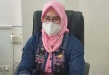 Ini Jadwal Tes SKD CPNS Masing-masing Daerah di Sultra Kasubid Pengadaan ASN Badan Kepegawaian Daerah (BKD) Provinsi Sultra, Hadrawati Hasjid