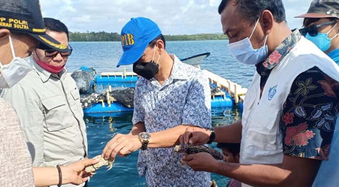 Pemda dan AKKP Wakatobi Kolaborasi di Bidang Konservasi Laut