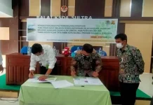 BKSDA Sultra dan BPJN Kerja Sama dalam Kegiatan Preservasi Jalan BKSDA Sultra dan BPJN Kerja Sama dalam Kegiatan Preservasi Jalan