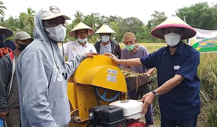 Bupati Wakatobi Panen Padi Perdana Sekaligus Beri Bantuan Mesin