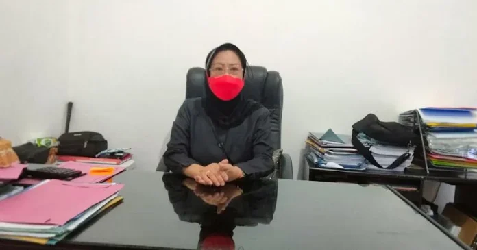 Ketua STIKES Pelita Ibu Rosmawati Ibrahim