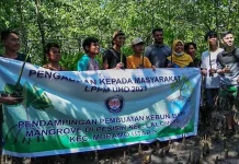 LPPM UHO: Pembibitan Mangrove Bisa Jadi Alternatif Usaha Bagi Masyarakat LPPM UHO: Pembibitan Mangrove Bisa Jadi Alternatif Usaha Bagi Masyarakat