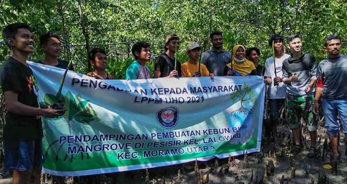 LPPM UHO: Pembibitan Mangrove Bisa Jadi Alternatif Usaha Bagi Masyarakat