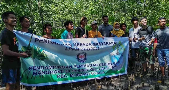 uho1 LPPM UHO: Pembibitan Mangrove Bisa Jadi Alternatif Usaha Bagi Masyarakat
