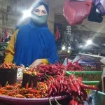 Harga Cabai Keriting di Kendari Naik, Sedangkan Ikan Turun Harga Cabai Keriting di Kendari Naik, Sedangkan Ikan Turun