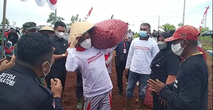 IMG_20211015_170510 Wakatobi Kembangkan Bawang Merah untuk Program Merdeka Pangan