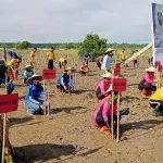 Polda Sultra Tanam Dua Ribu Bibit Mangrove di Teluk Kendari Polda Sultra Tanam Dua Ribu Bibit Mangrove di Teluk Kendari